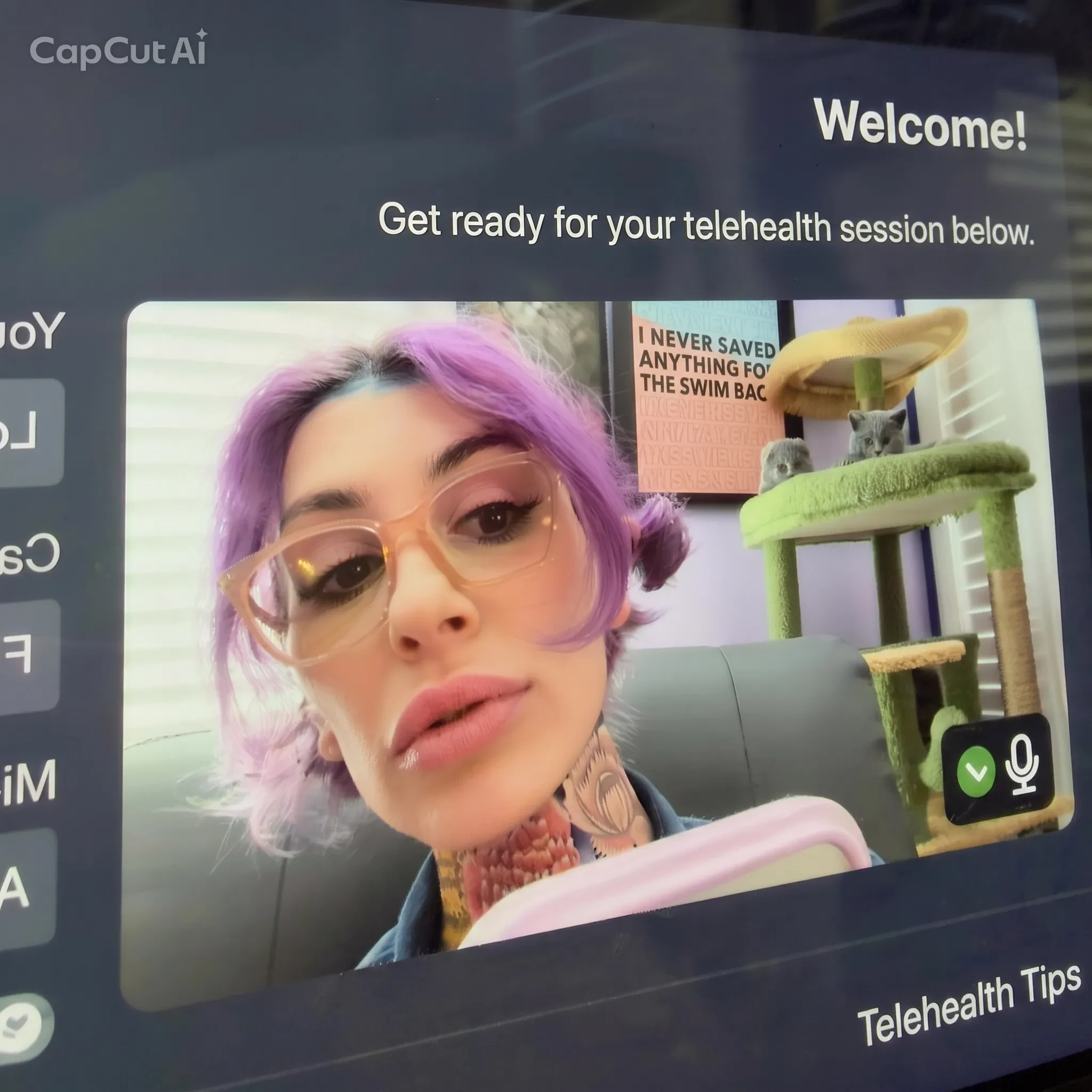 Telehealth session screen — Love Psychotherapy secure video platform